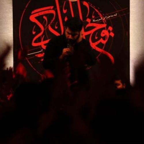 میثم مطیعی نمیتونم از تو و حرم تو نخونم